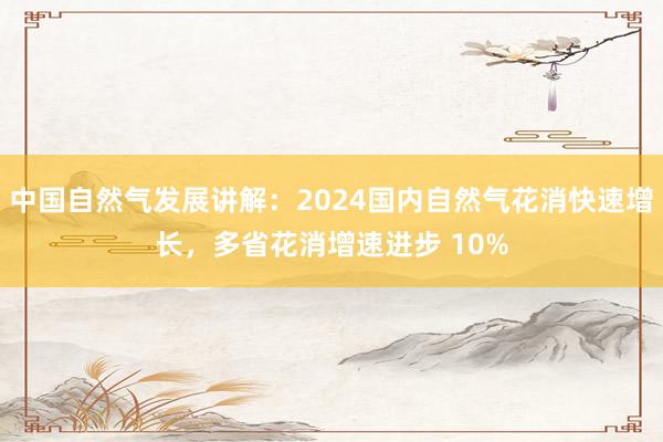 中国自然气发展讲解：2024国内自然气花消快速增长，多省花消增速进步 10%